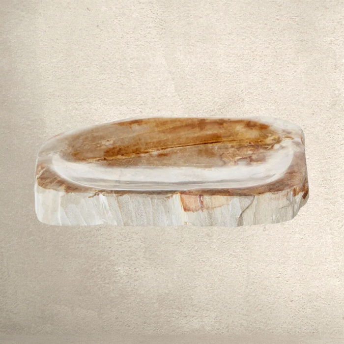 Petrified Wood Dish