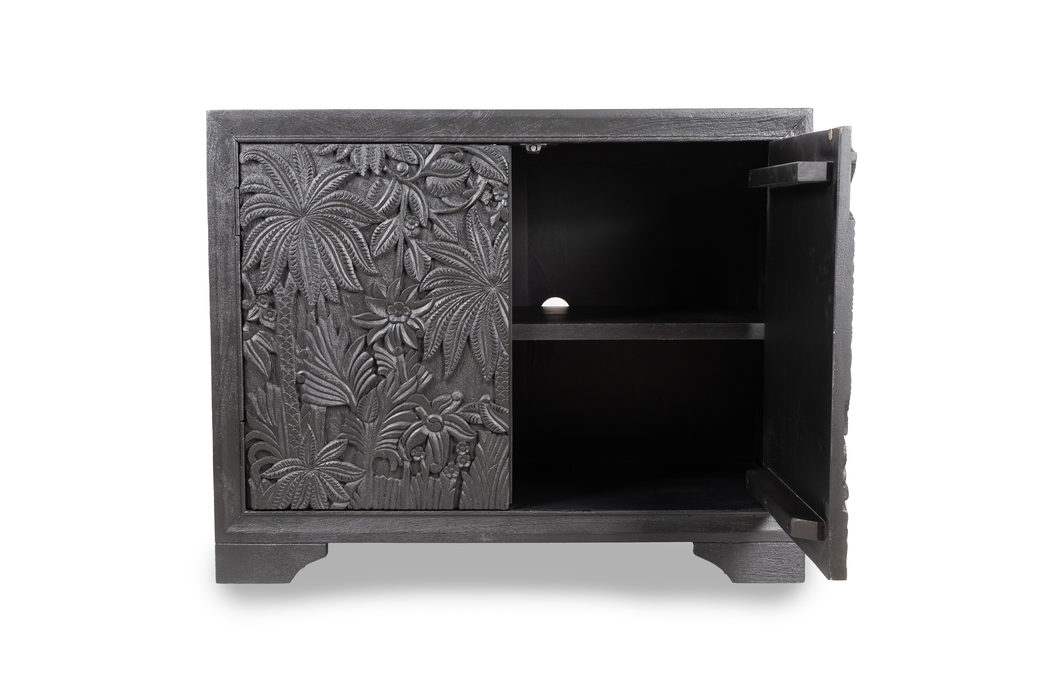 Castaway 2 Door Cabinet