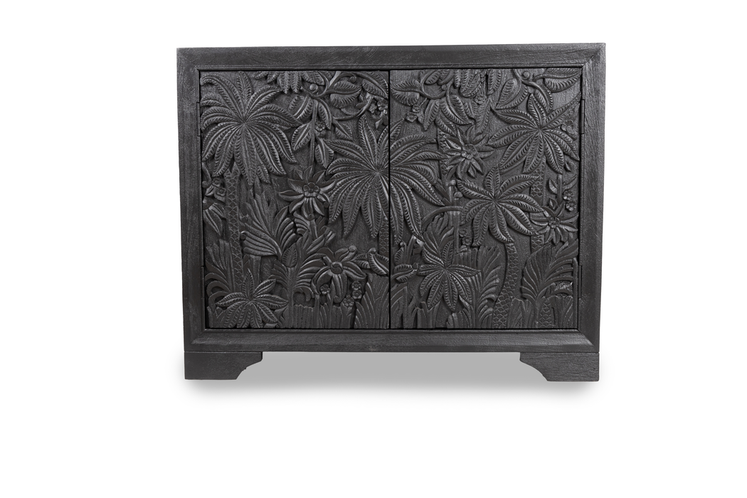 Castaway 2 Door Cabinet