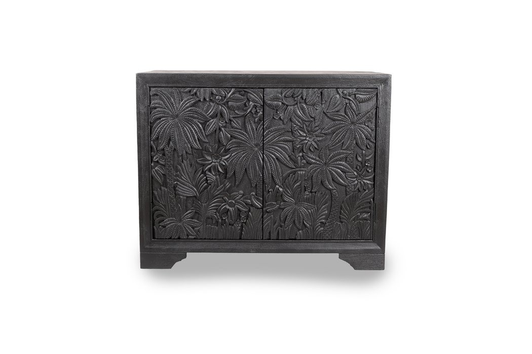 Castaway 2 Door Cabinet