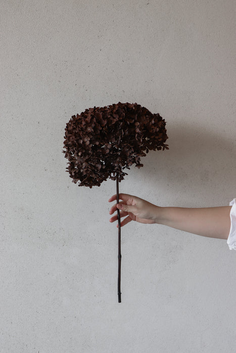 Preserved Hydrangea Stem