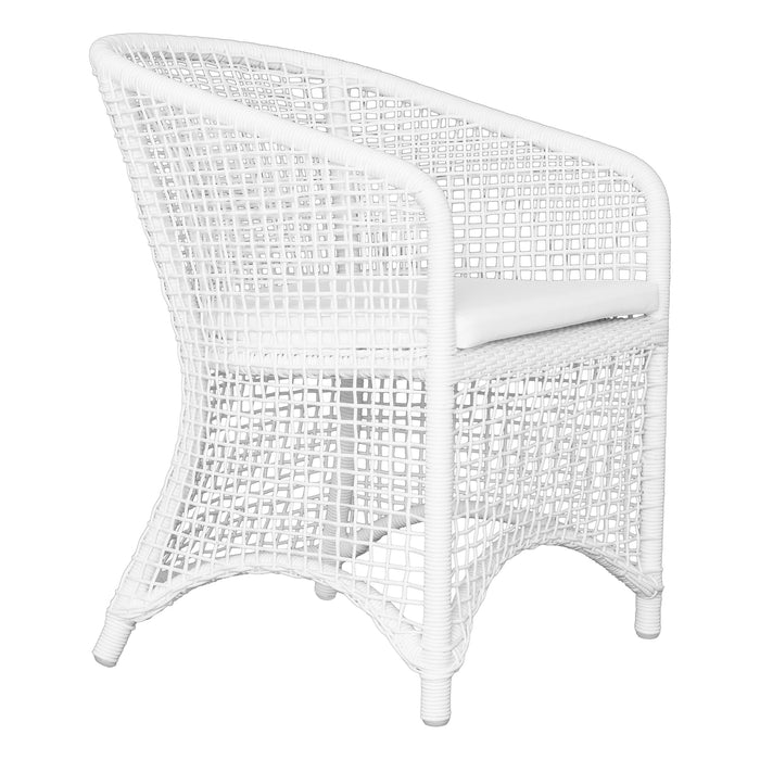 Trinidad Dining Chair