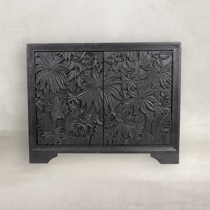 Castaway 2 Door Cabinet