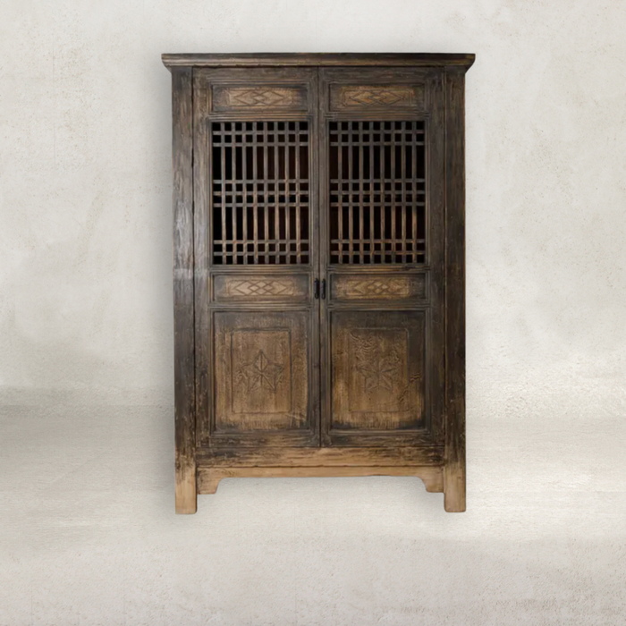 Saanvi 2 Door Cabinet Blackened